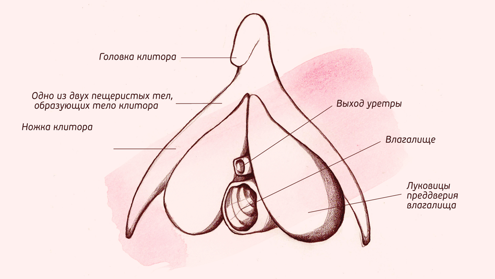 Управление оргазмом — Википедия